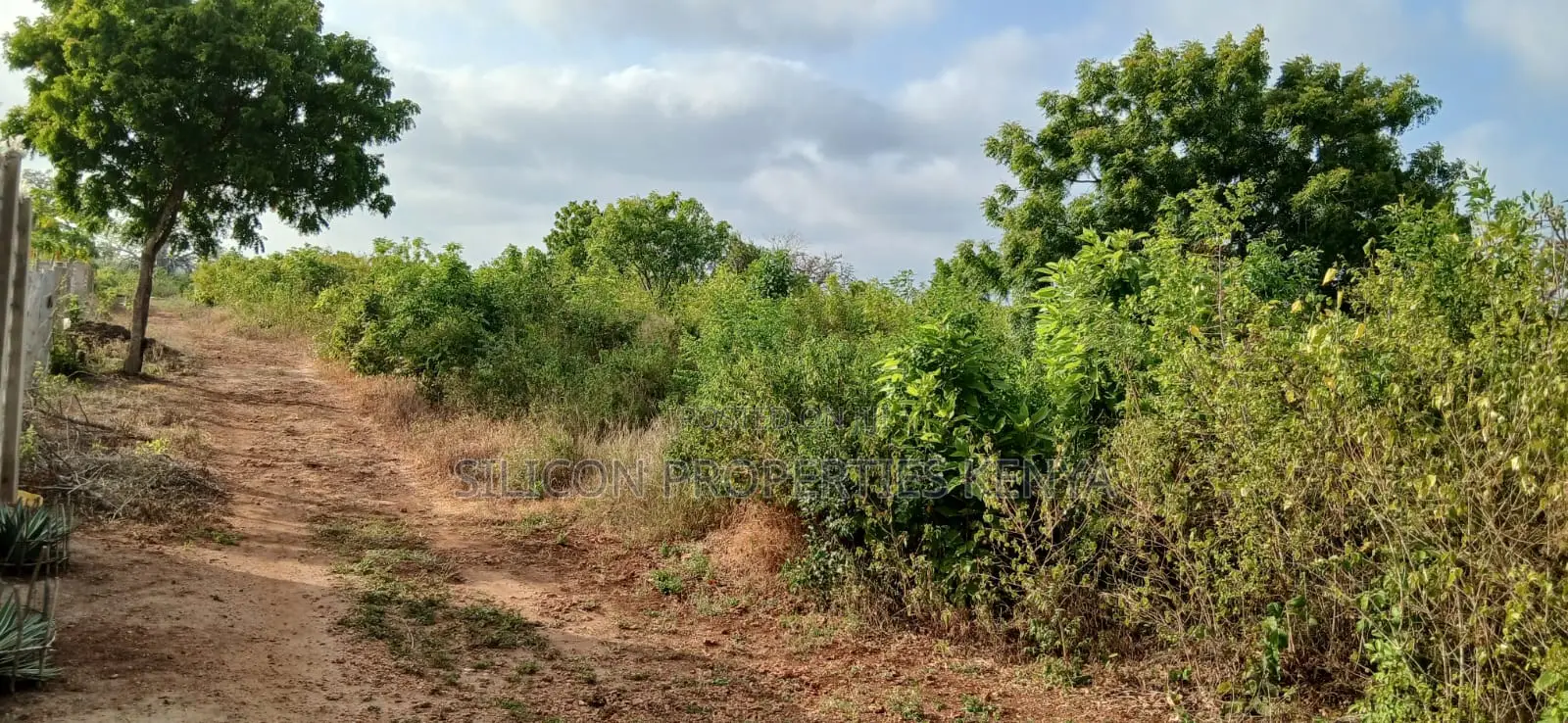 Quarter-Acre Plot for Sale in Galu Kinondo –