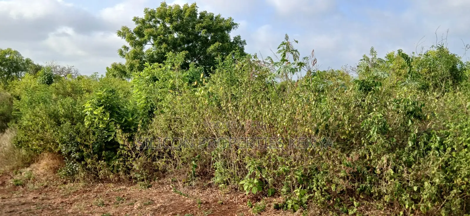 Quarter-Acre Plot for Sale in Galu Kinondo –