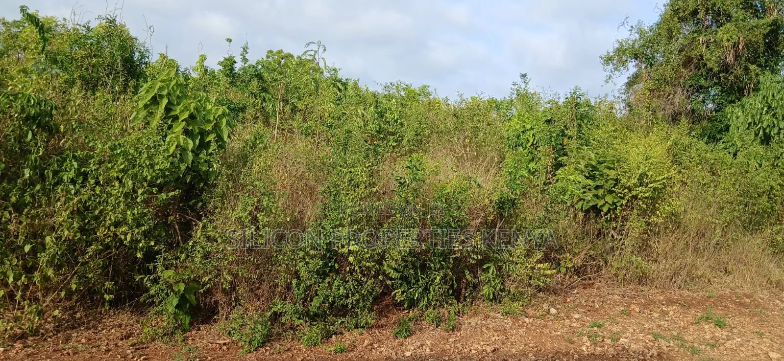 Quarter-Acre Plot for Sale in Galu Kinondo –
