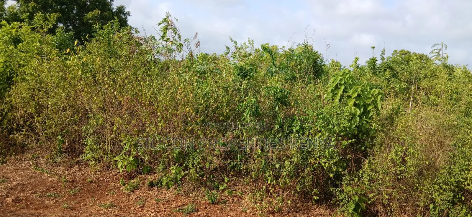 Quarter-Acre Plot for Sale in Galu Kinondo –