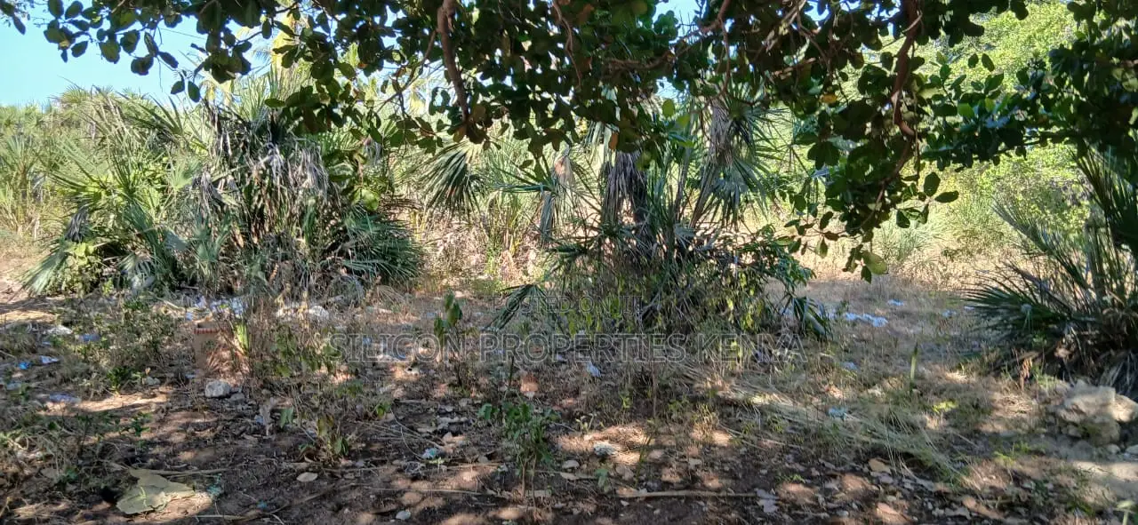 Half-Acre Plot Strategically Located Along the Mvindeni-Lotfa-Diani Rd