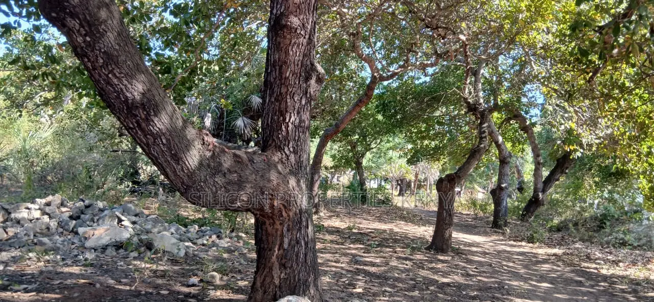 Half-Acre Plot Strategically Located Along the Mvindeni-Lotfa-Diani Rd