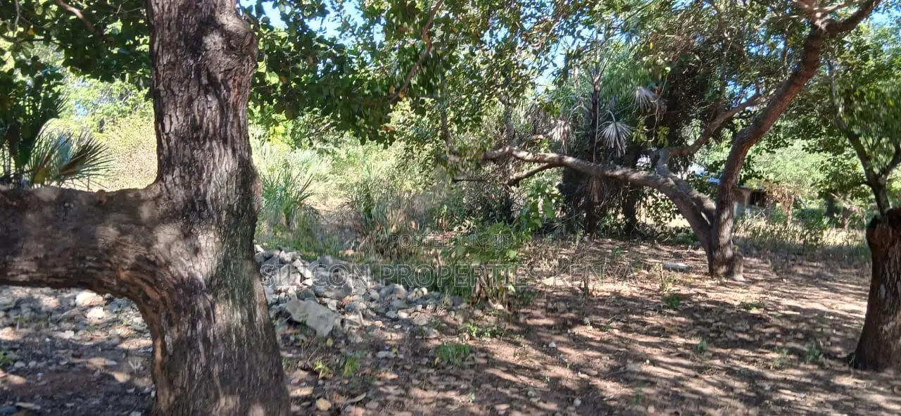 Half-Acre Plot Strategically Located Along the Mvindeni-Lotfa-Diani Rd