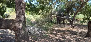 Half-Acre Plot Strategically Located Along the Mvindeni-Lotfa-Diani Rd