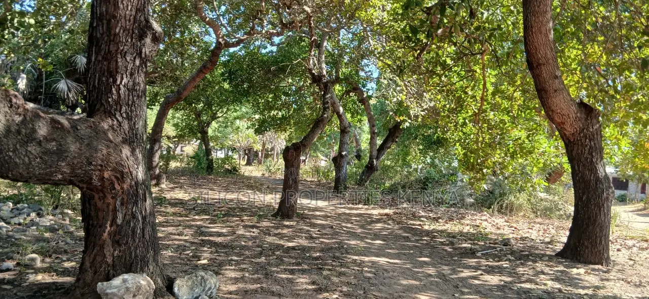Half-Acre Plot Strategically Located Along the Mvindeni-Lotfa-Diani Rd