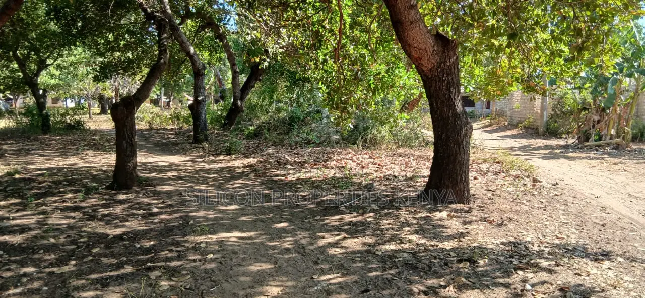 Half-Acre Plot Strategically Located Along the Mvindeni-Lotfa-Diani Rd