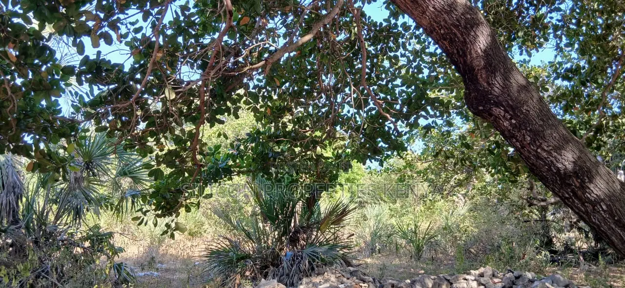 Half-Acre Plot Strategically Located Along the Mvindeni-Lotfa-Diani Rd