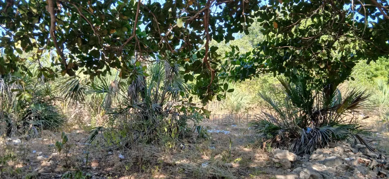 Half-Acre Plot Strategically Located Along the Mvindeni-Lotfa-Diani Rd