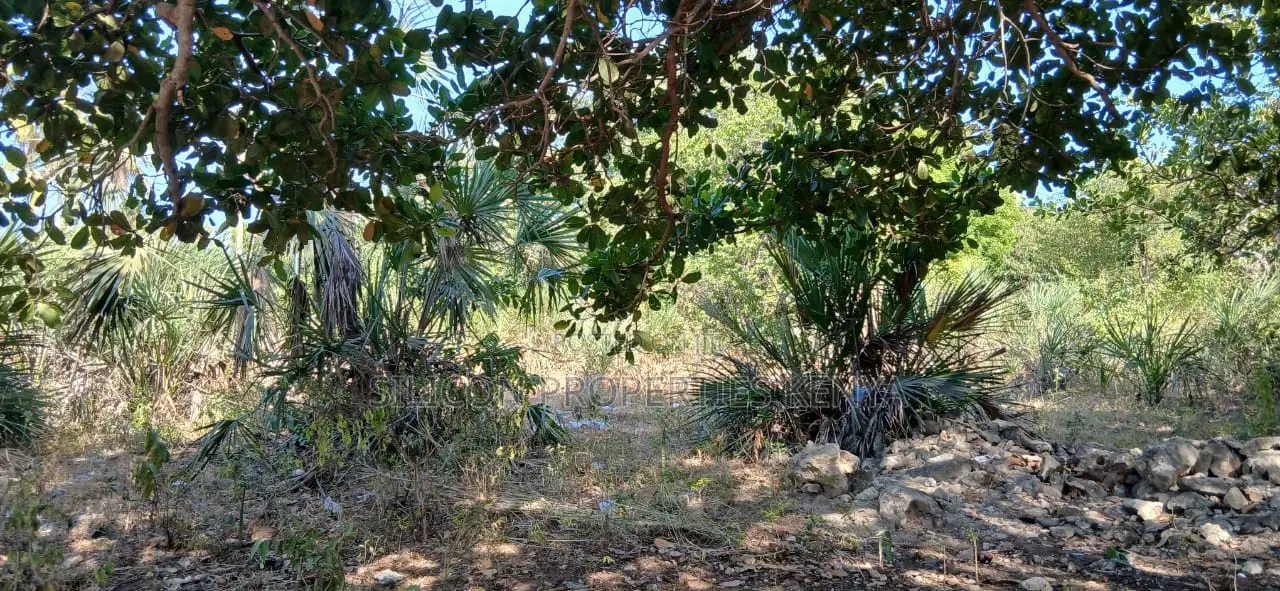 Half-Acre Plot Strategically Located Along the Mvindeni-Lotfa-Diani Rd