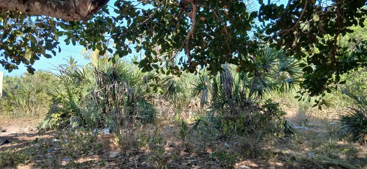 Half-Acre Plot Strategically Located Along the Mvindeni-Lotfa-Diani Rd