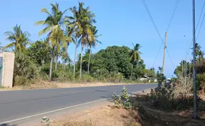 Half-Acre Plot Strategically Located Along the Mvindeni-Lotfa-Diani Rd