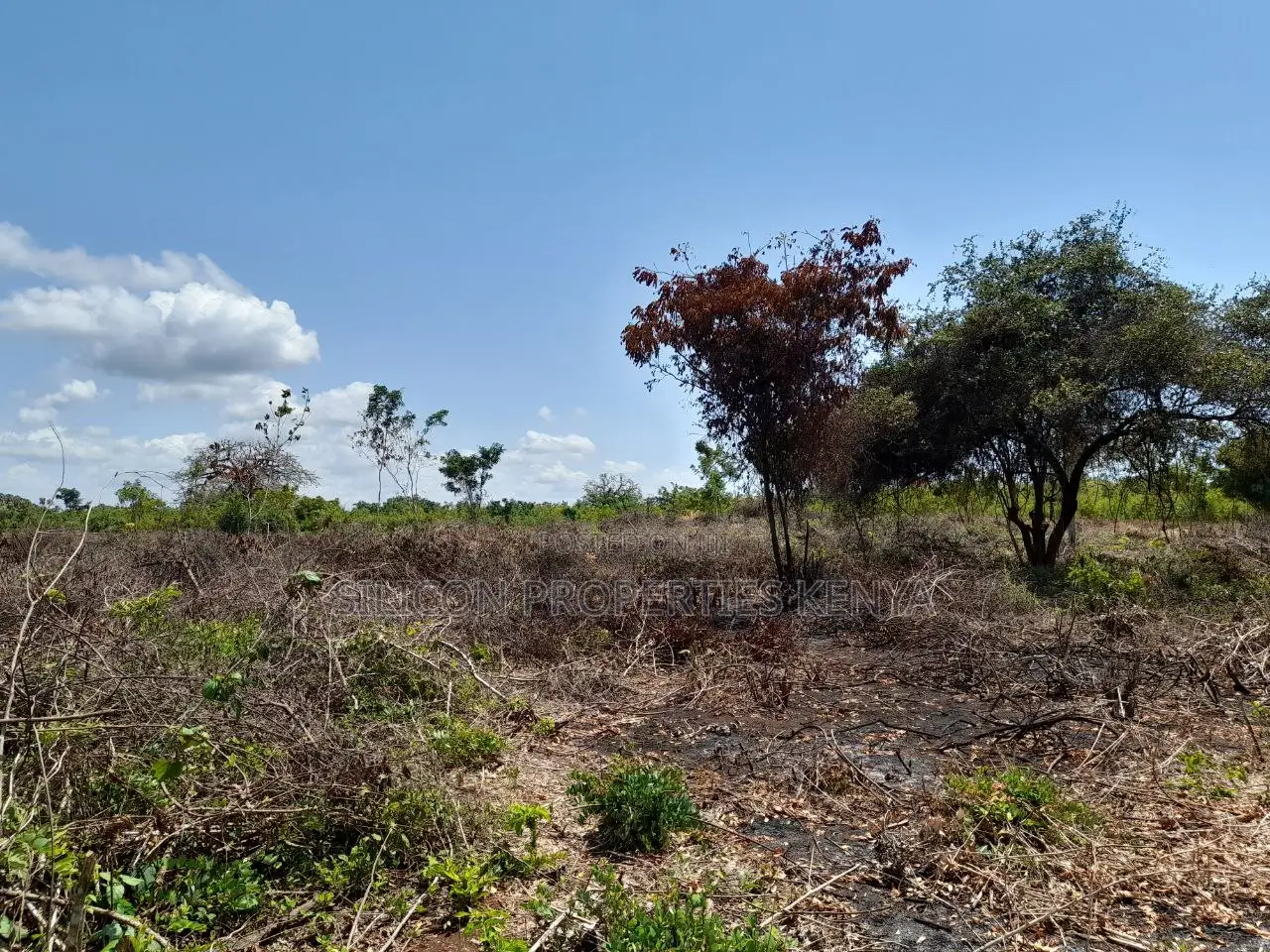 0.25 Acre in Diani, Galu Area
