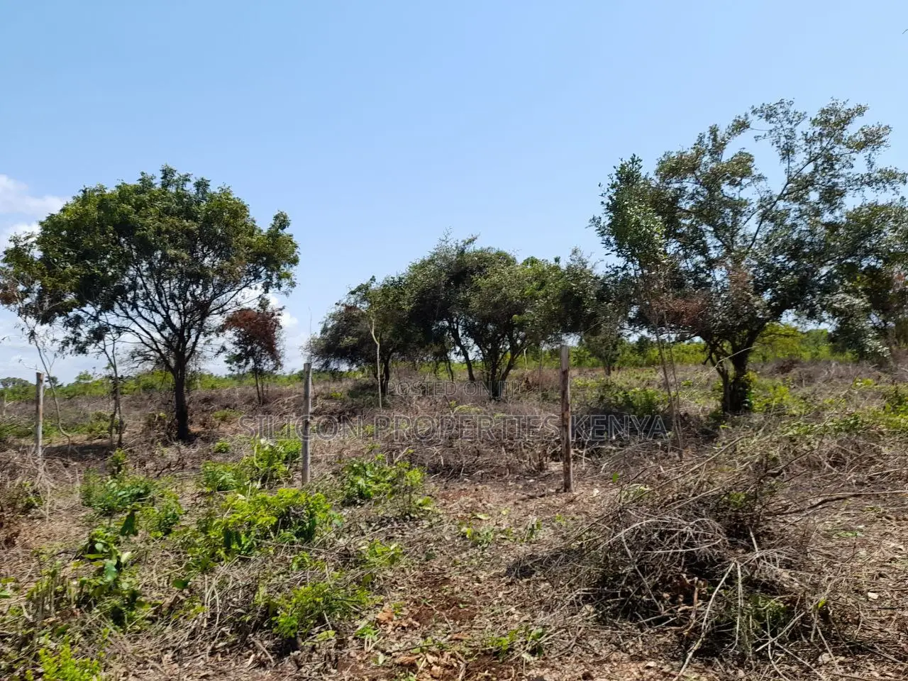 0.25 Acre in Diani, Galu Area