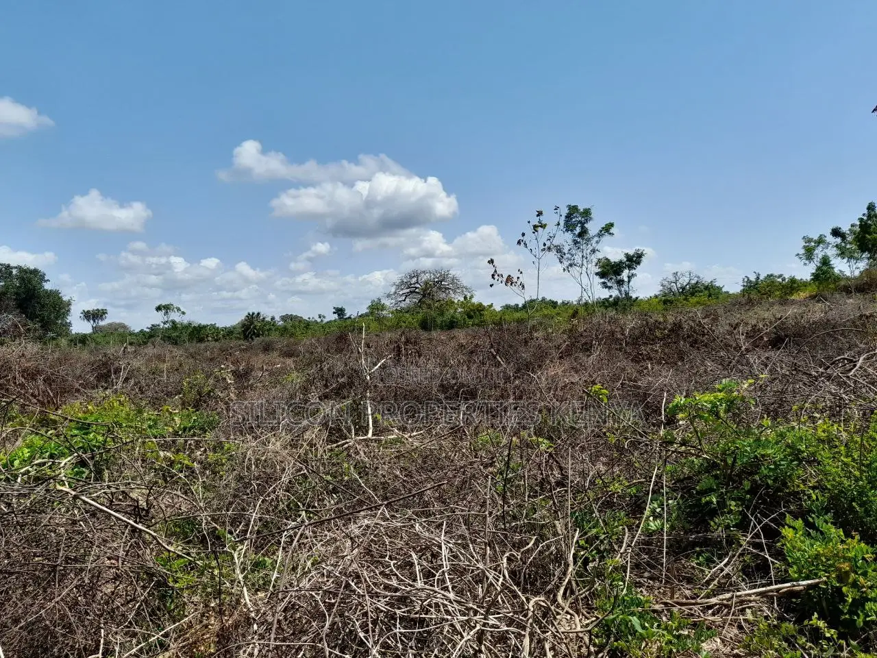0.25 Acre in Diani, Galu Area