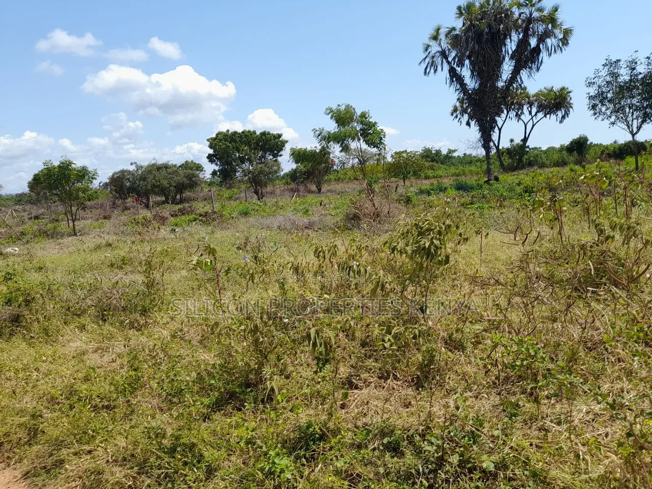 0.25 Acre in Diani, Galu Area