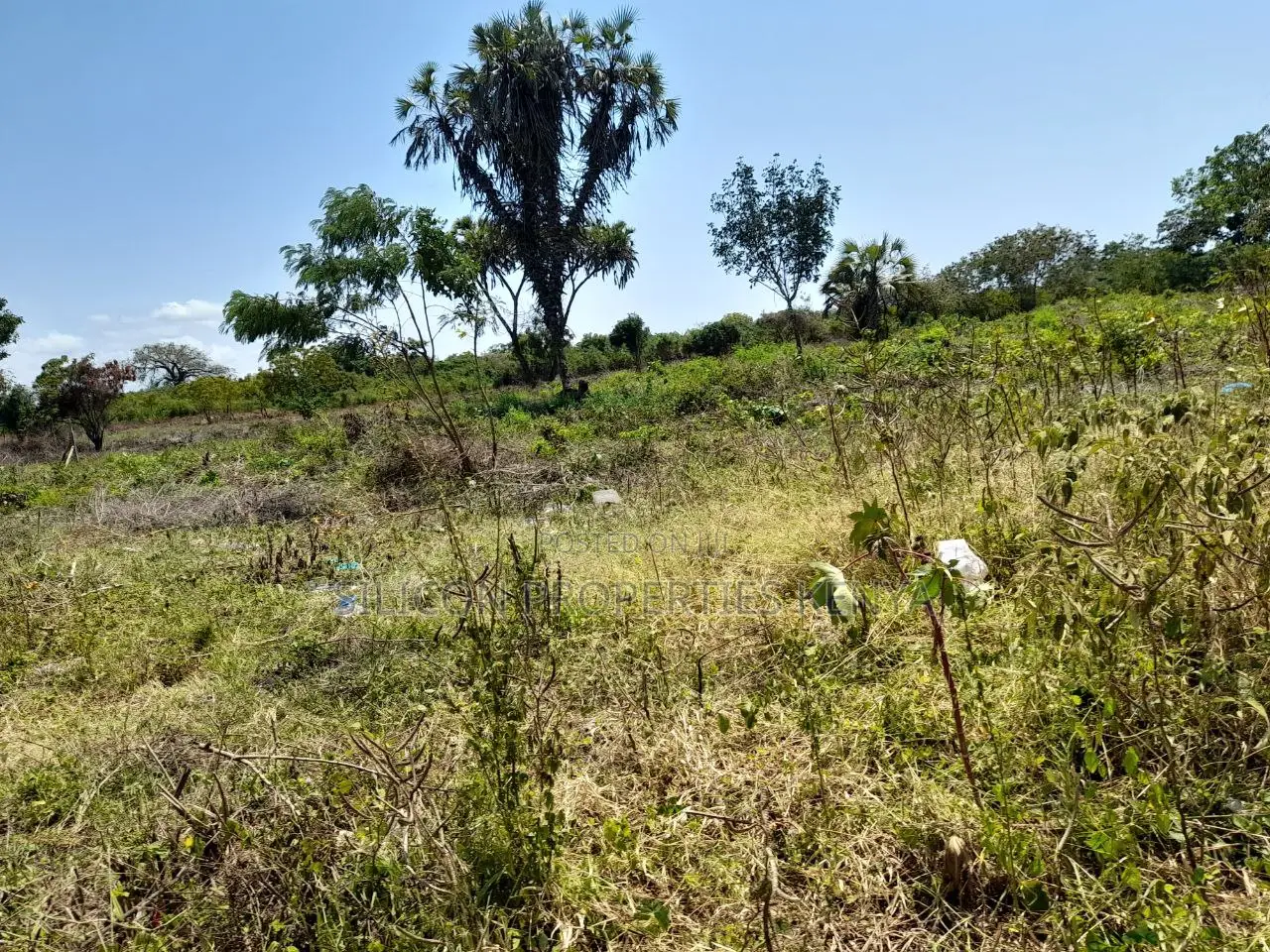0.25 Acre in Diani, Galu Area