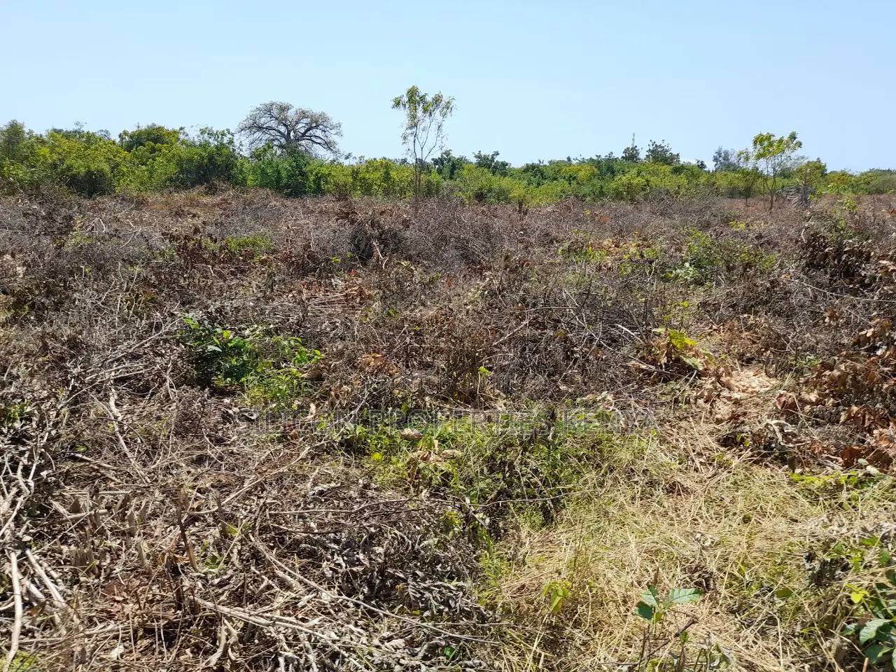 0.25 Acre in Diani, Galu Area