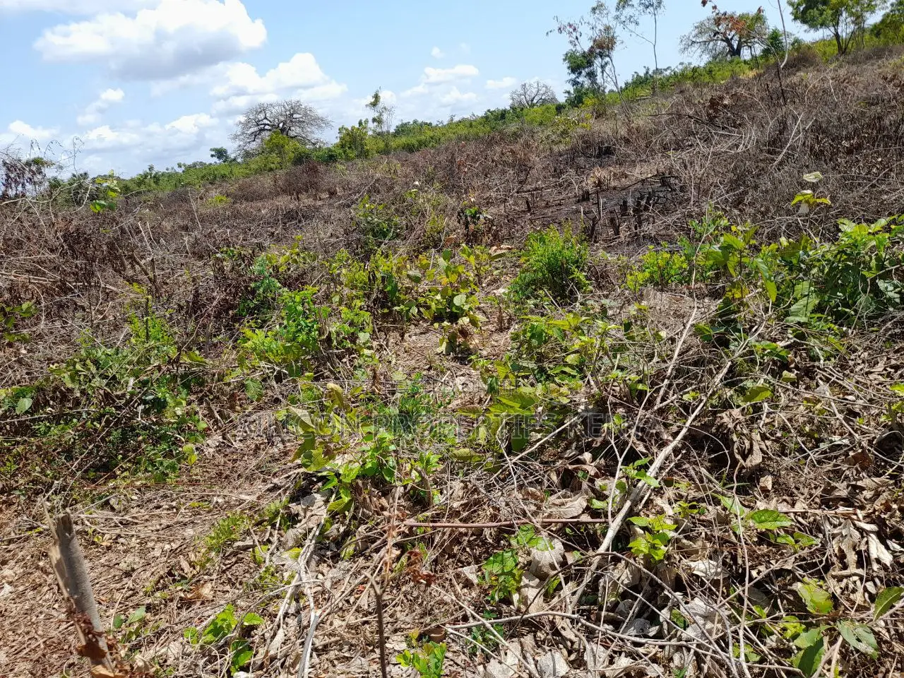 0.25 Acre in Diani, Galu Area