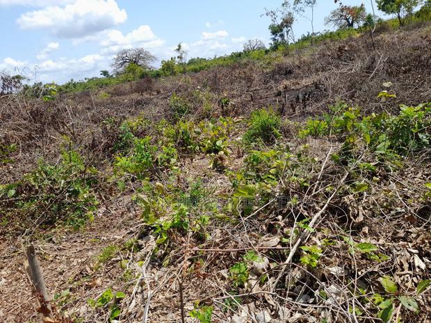 0.25 Acre in Diani, Galu Area - thumbnail 19