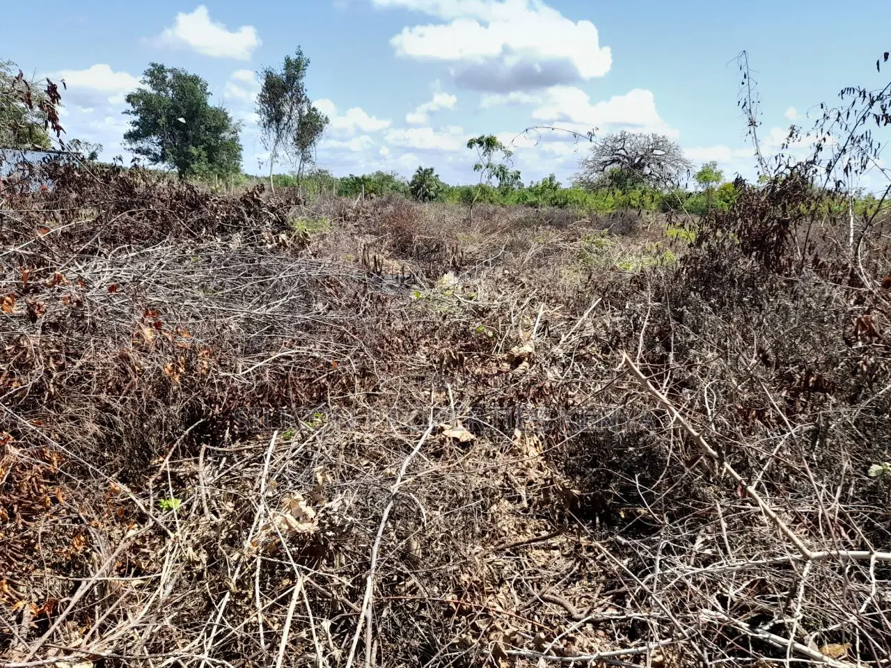 0.25 Acre in Diani, Galu Area