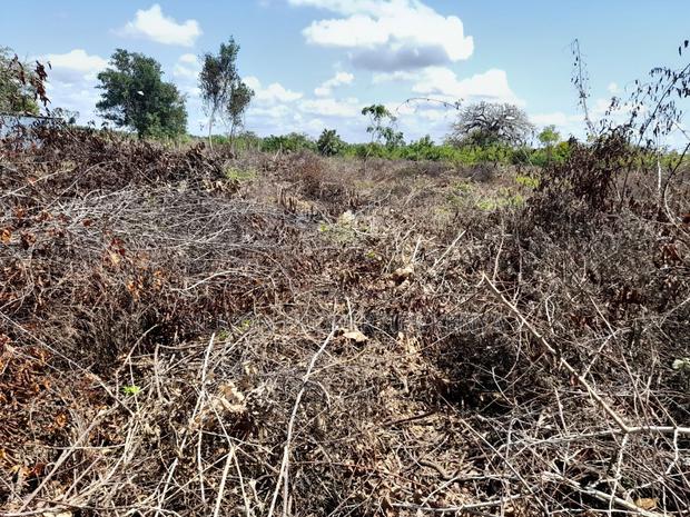 0.25 Acre in Diani, Galu Area - thumbnail 17