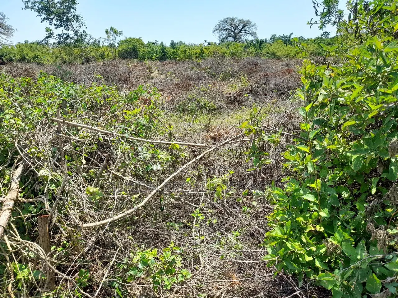 0.25 Acre in Diani, Galu Area
