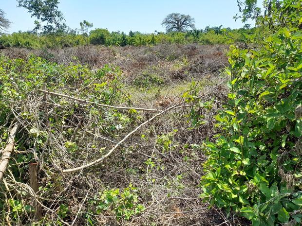 0.25 Acre in Diani, Galu Area - thumbnail 18