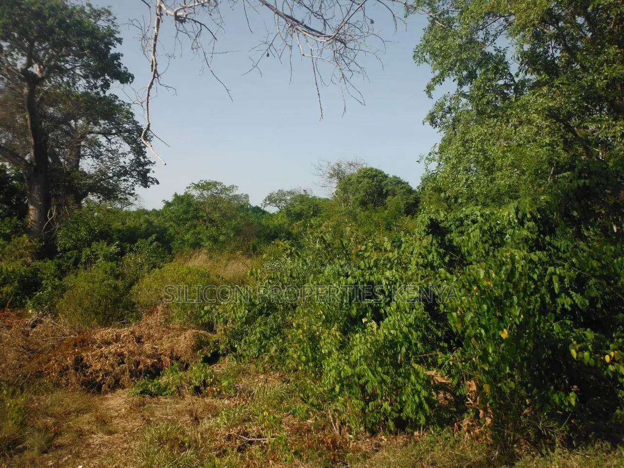 0.25 Acres for Sale in Shimoni