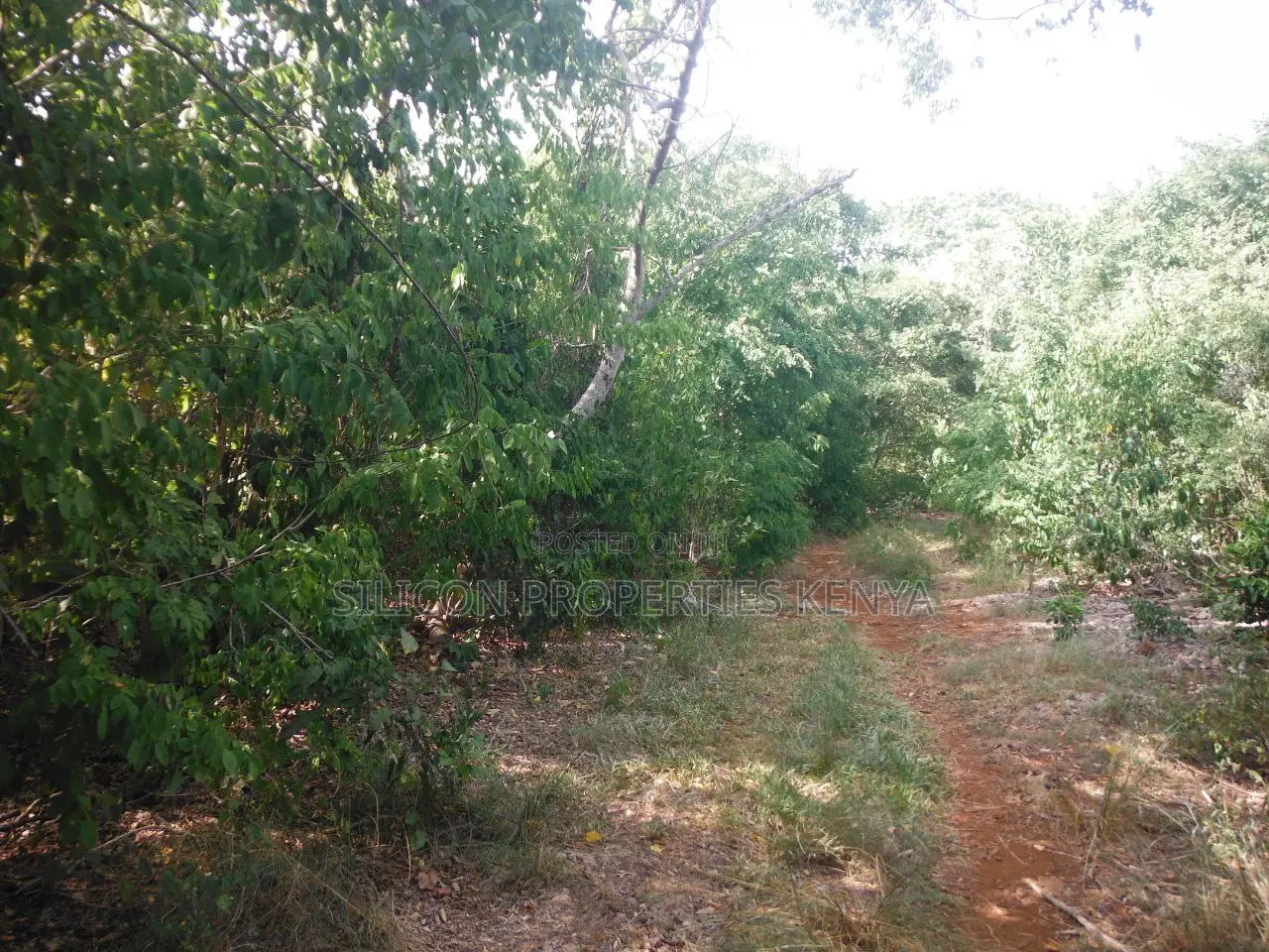 0.25 Acres for Sale in Shimoni