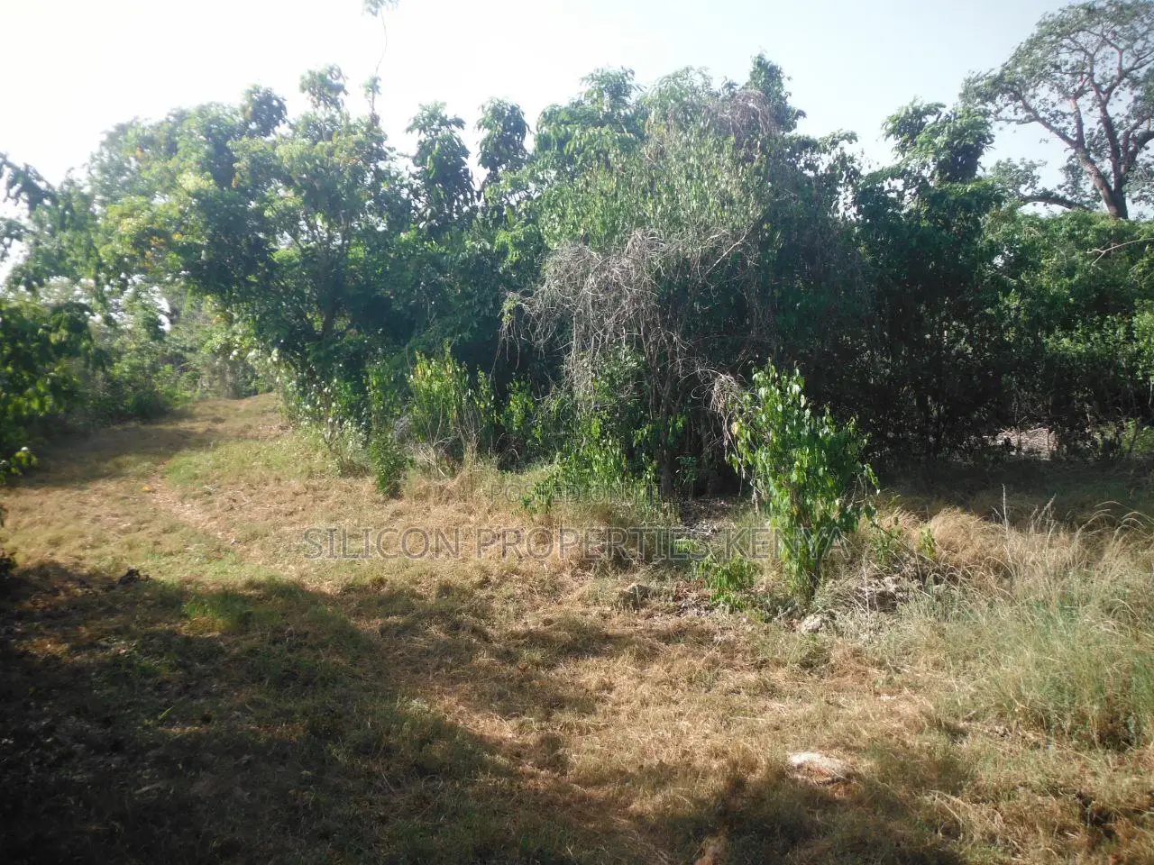 0.25 Acres for Sale in Shimoni