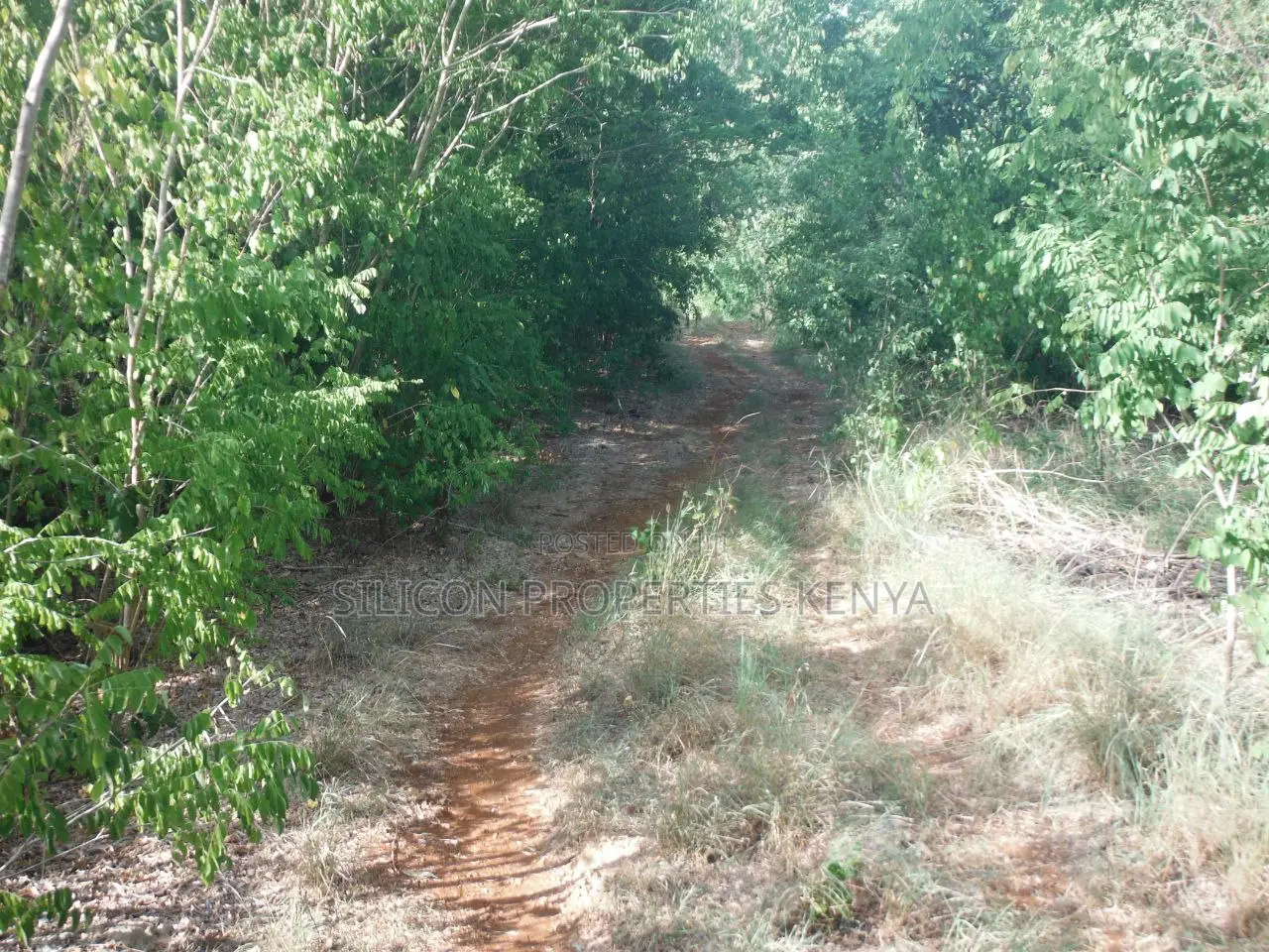 0.25 Acres for Sale in Shimoni