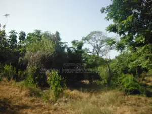 Another 0.25 Acre in Shimoni