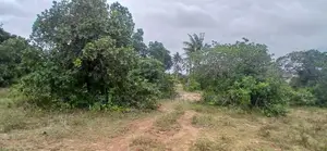 1-Acre Plot in Matuga