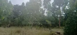 12 Acres for Sale in Ramisi – KES Per Acre