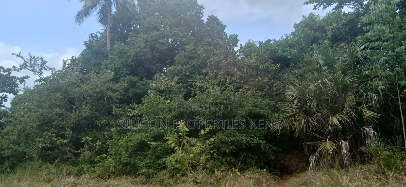 12 Acres for Sale in Ramisi – KES Per Acre