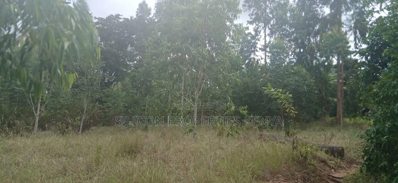 12 Acres for Sale in Ramisi – KES Per Acre
