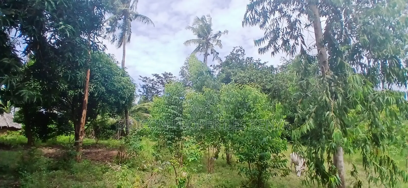 12 Acres for Sale in Ramisi – KES Per Acre