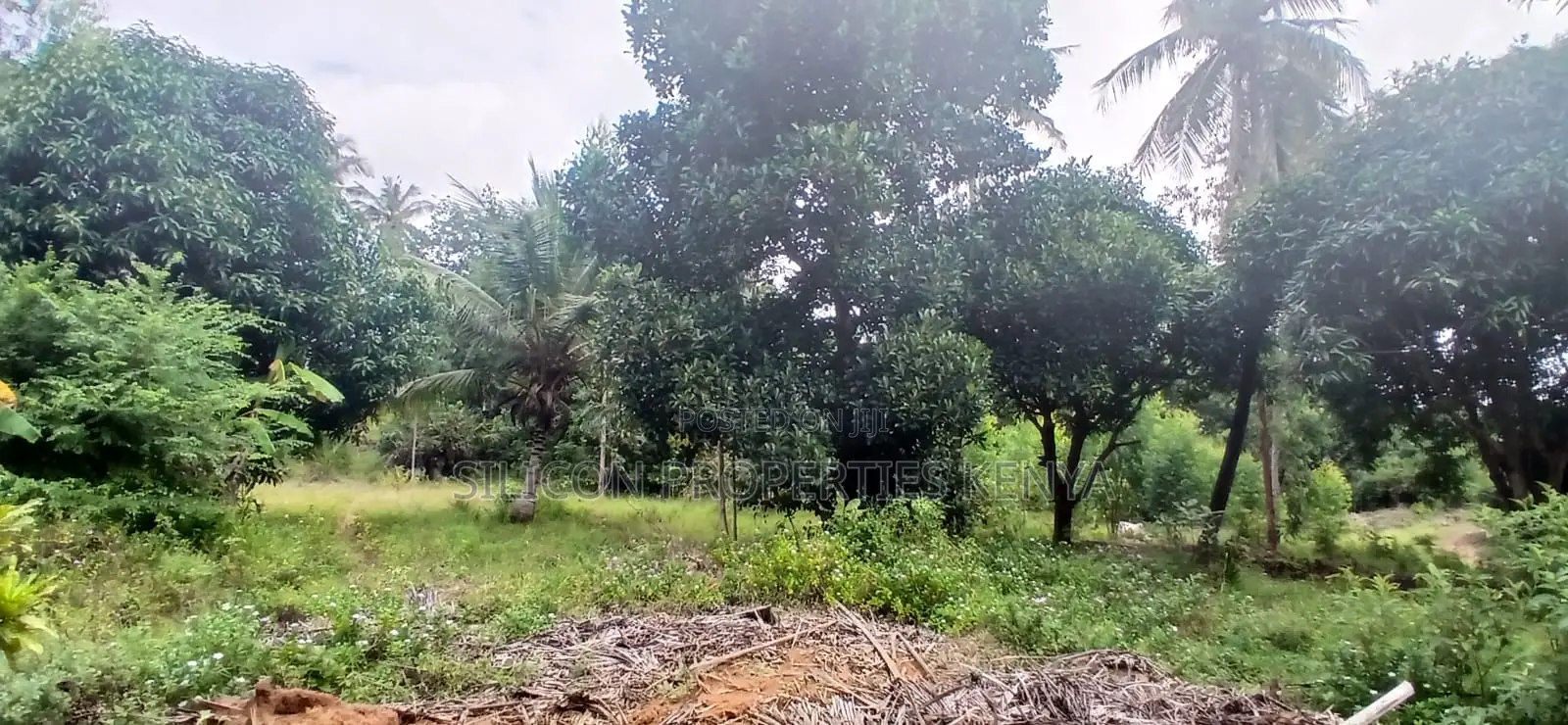 12 Acres for Sale in Ramisi – KES Per Acre