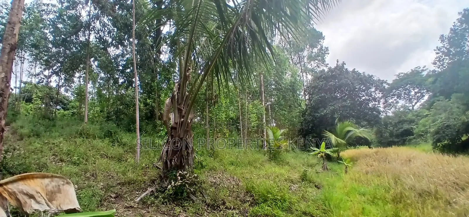 12 Acres for Sale in Ramisi – KES Per Acre