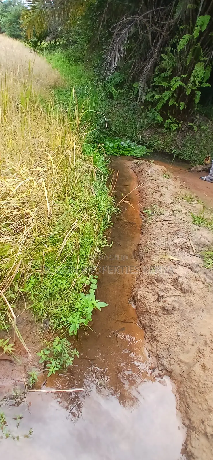 12 Acres for Sale in Ramisi – KES Per Acre