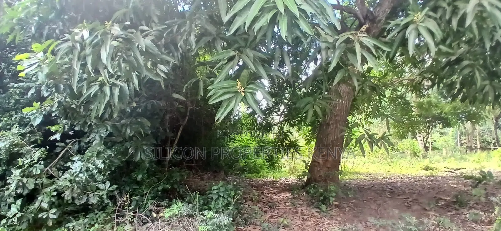 12 Acres for Sale in Ramisi – KES Per Acre