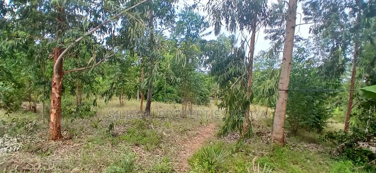 12 Acres for Sale in Ramisi – KES Per Acre