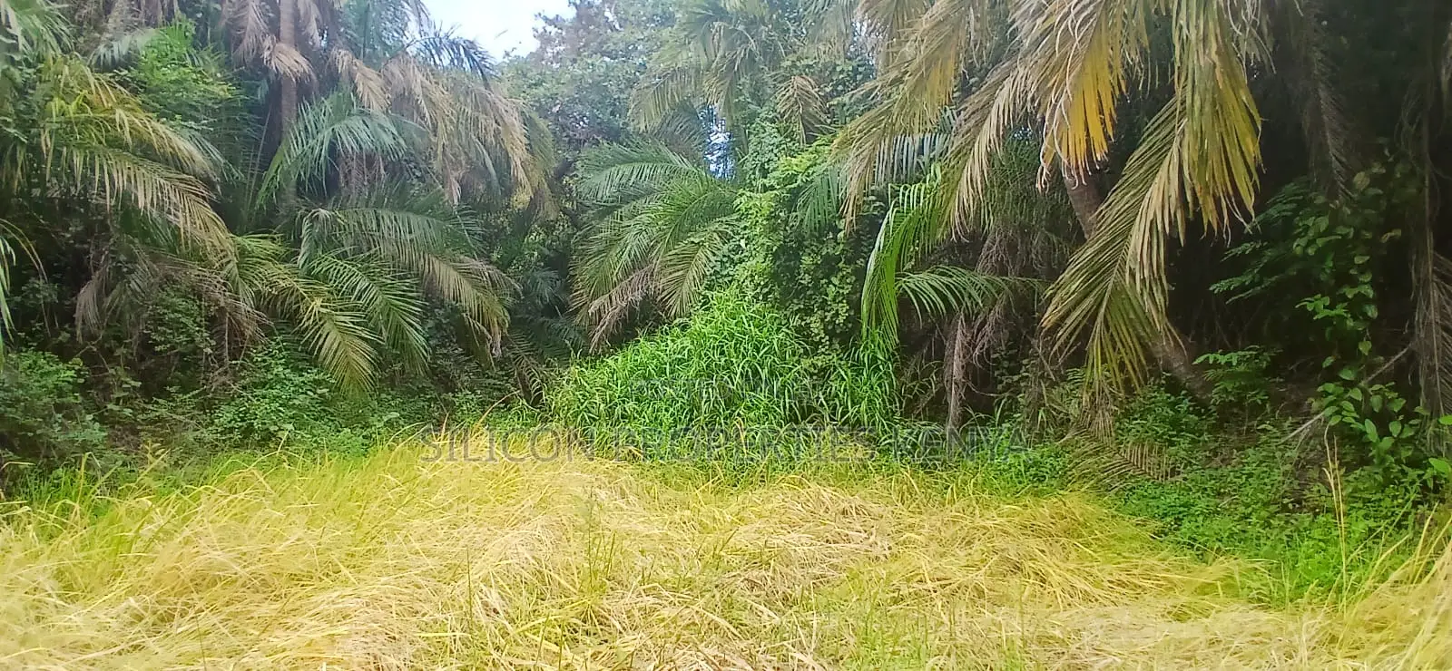 12 Acres for Sale in Ramisi – KES Per Acre