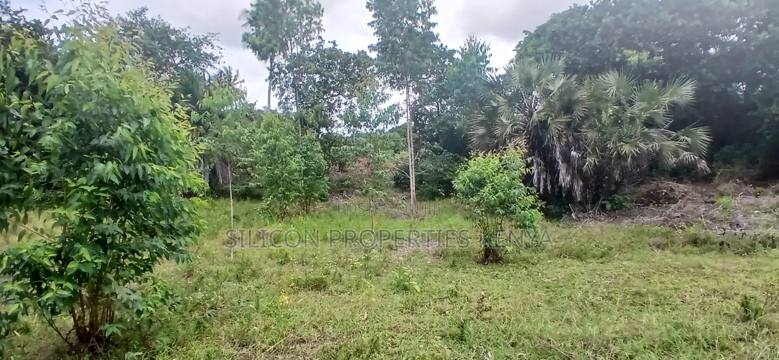 12 Acres for Sale in Ramisi – KES Per Acre