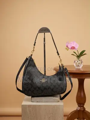 Coach Teri Crescent Shoulder and Hobo Bags