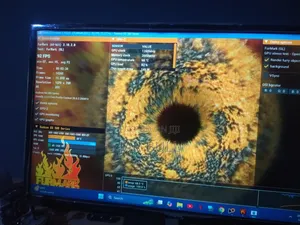 Graphics Cards