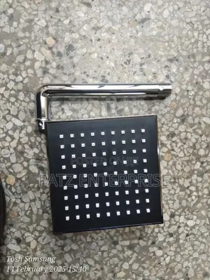 Shower Head With Shower Arm
