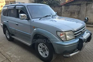 Toyota Land Cruiser 1995 Silver