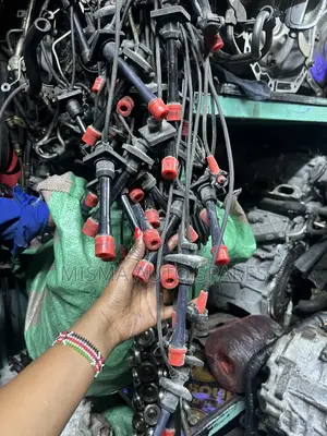 Lead Wire 5a/5e