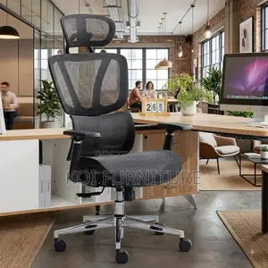 Office Chairs; Mesh Orthopedic Executive Office Seat